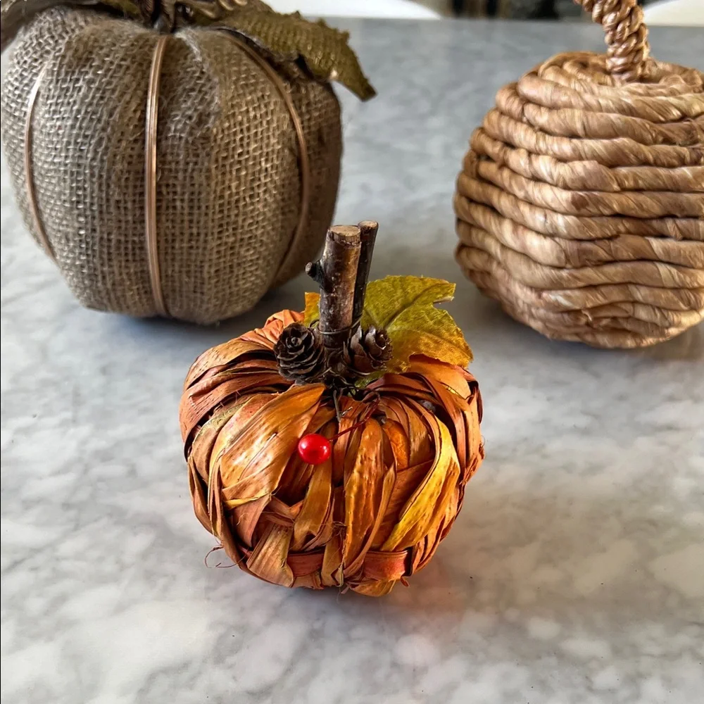 Target Rustic Pumpkin Decor bundle Set - Gold, Brown, Orange